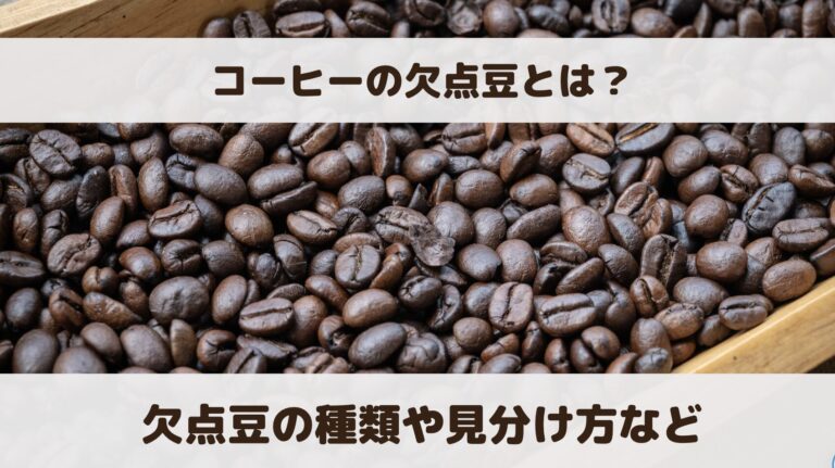 コーヒーの欠点豆とは？種類や見分け方、活用方法について解説│魅惑のコーヒー旅